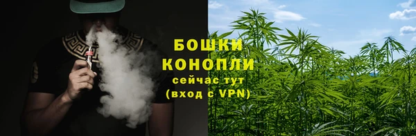 хмурый Белокуриха