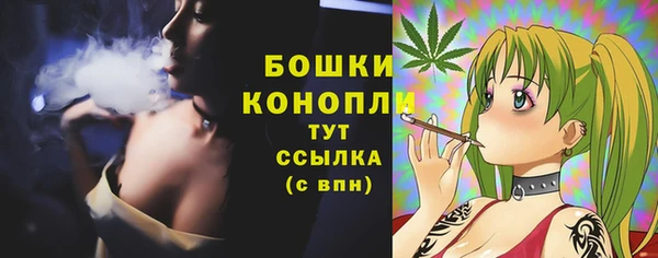 винт Богданович