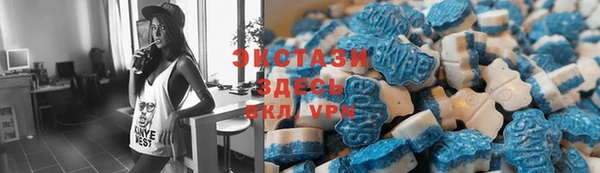 таблы Богородицк