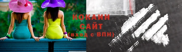 таблы Богородицк