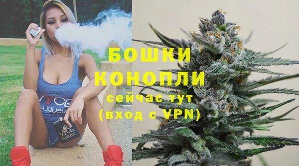 хмурый Белокуриха