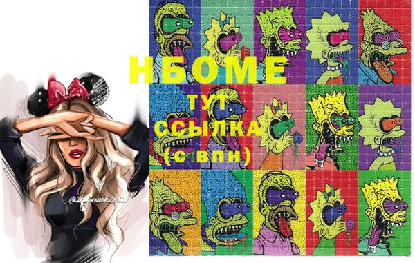 ешки Бородино