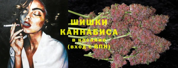 таблы Богородицк