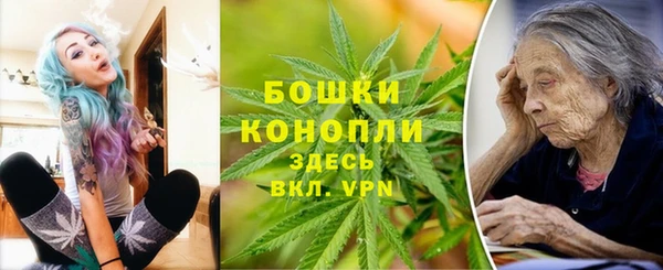 винт Богданович