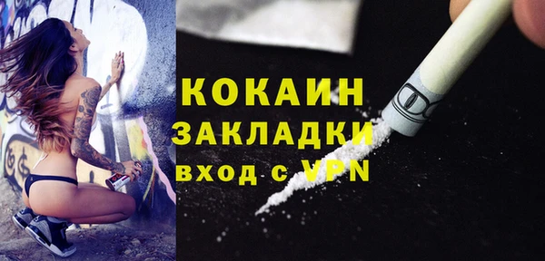 хмурый Белокуриха